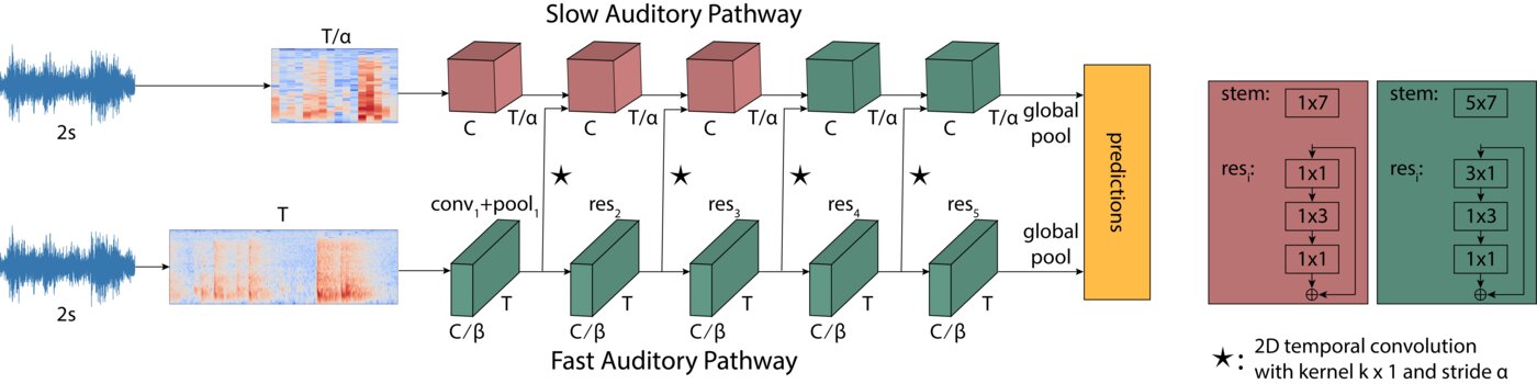 AudioSlowFast architecture